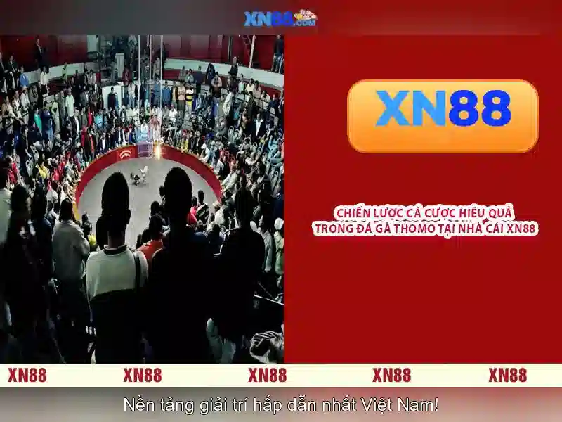 💎casino plus xn88 login💎