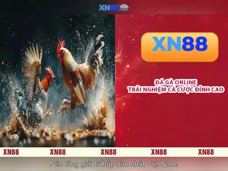 💎cước cá lội sân đình ngư ông bắt cá💎