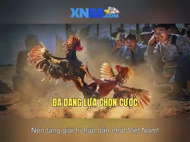 💎cai ma tuy tai nha💎