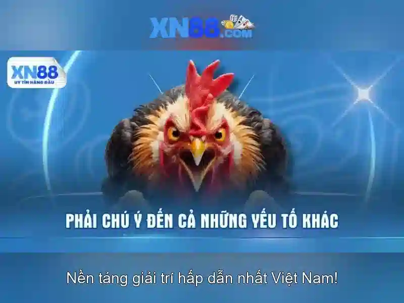 💎tỷ lệ cá cược bóng đá bình dương💎