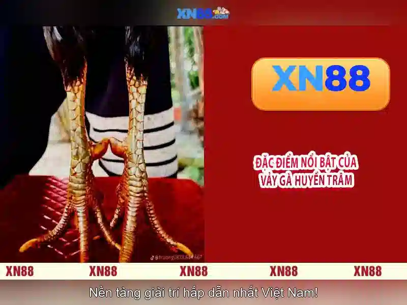 💎888 slot bombing fishing💎