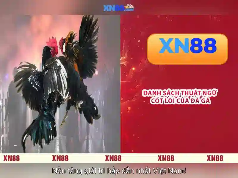 💎cá cược bóng đá euro thổ nhĩ kỳ vs ý💎