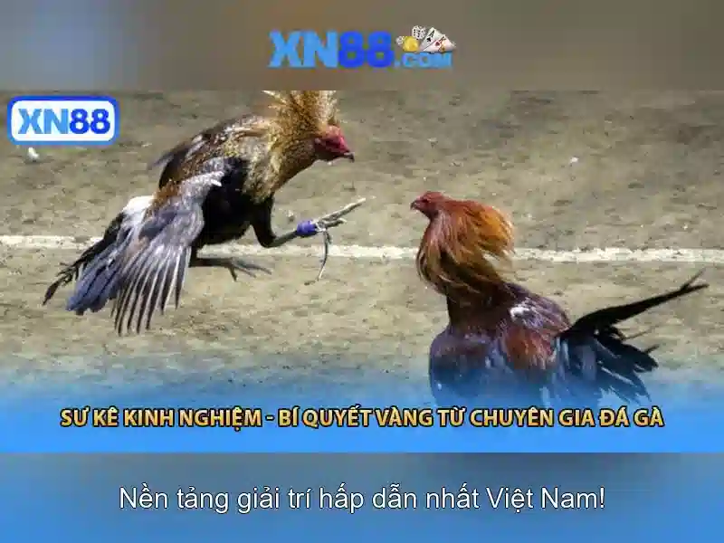 💎kèo nhà cái kết quả ngoại hạng anh💎