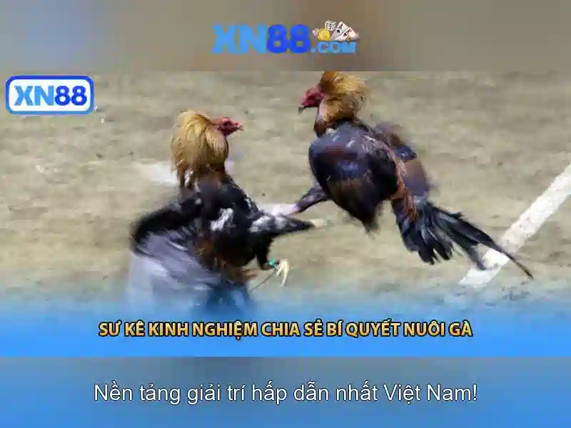 💎xn88 slot transfermarkt💎