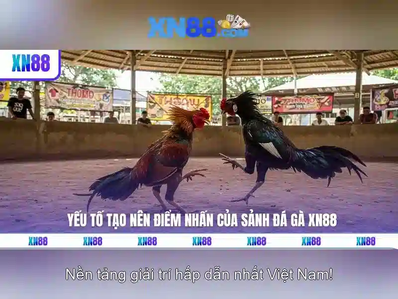 💎kèo nhà cái linoit.com💎