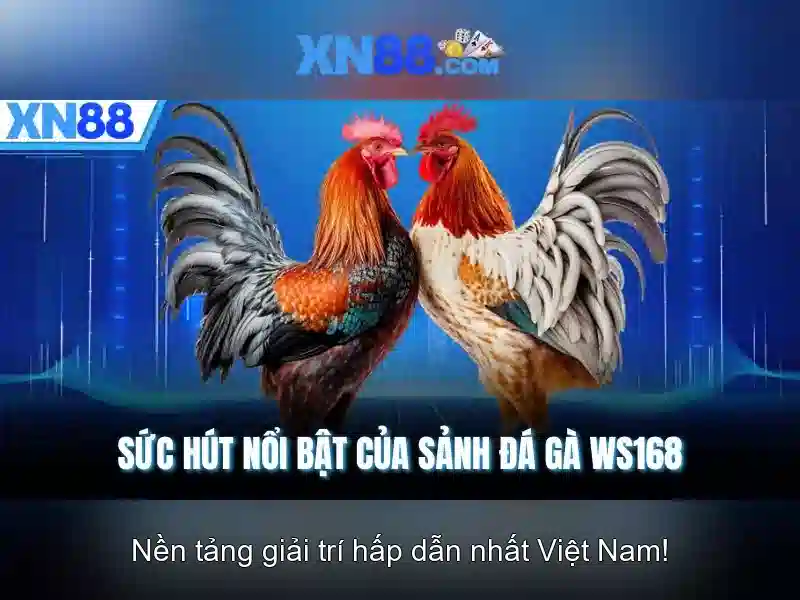 💎vụ đánh bạc ở hải phòng mới nhất💎