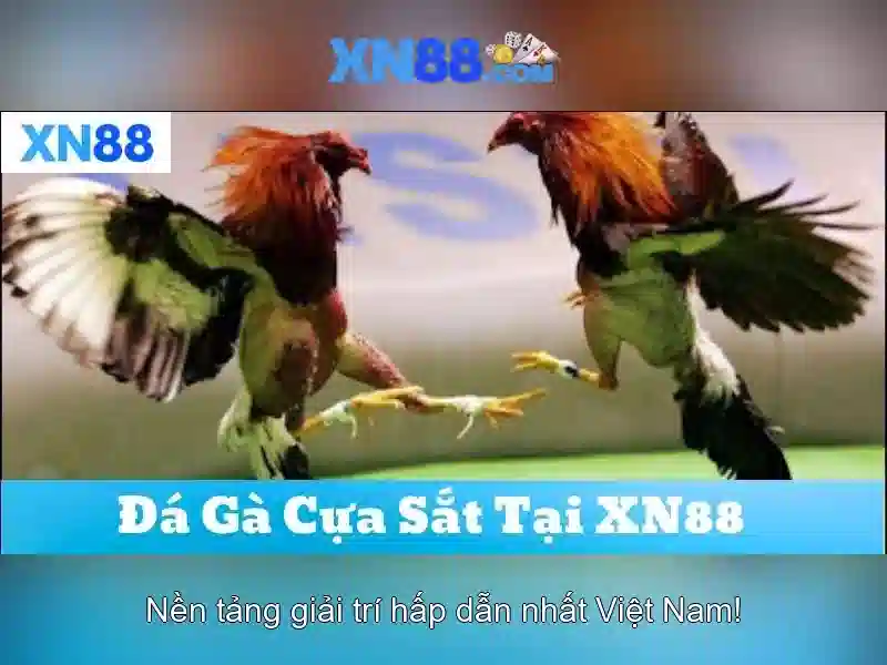💎nhà cái uy tín việt nam💎