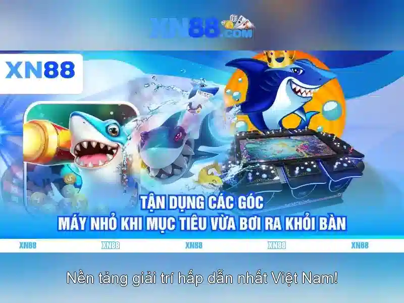 💎ty le ca cuoc aff cup 2024💎