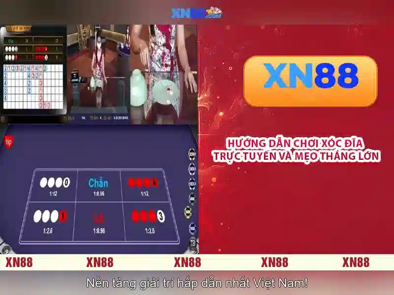 💎kазіно slots city💎
