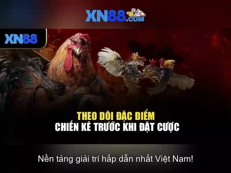 💎cong game no hu uy tin💎