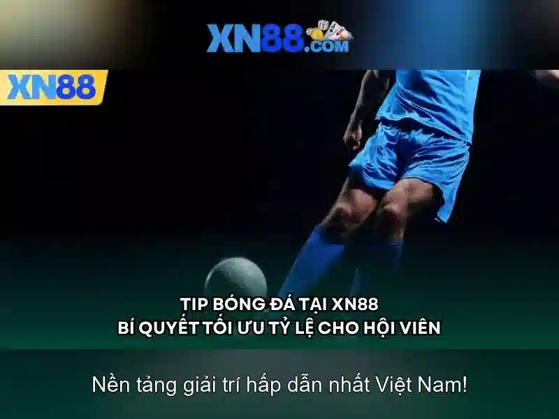 💎ty le ca cuoc thuy si💎