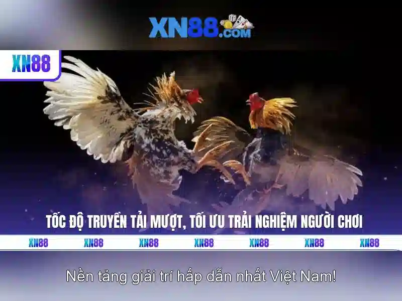 💎kèo nhà cái việt nam và lào💎