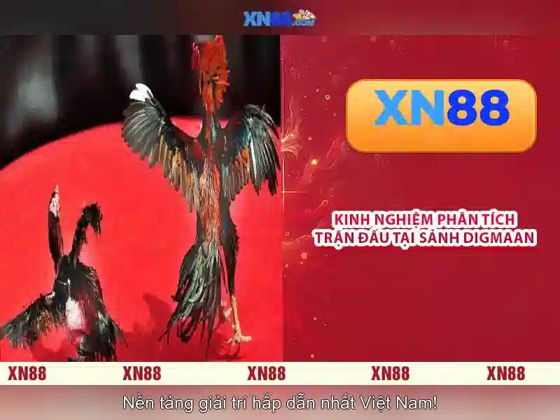 💎rút thưởng 66b💎 - sân cầu 66b triều khúc - cd 66b antibodies