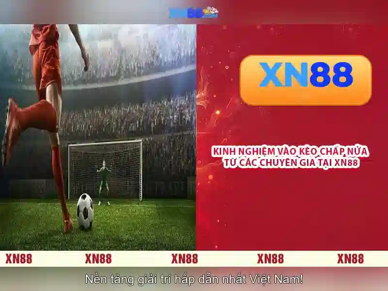 💎veertje nemef slot💎