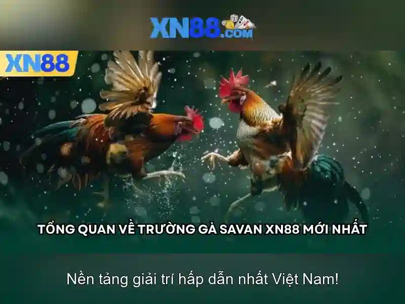 💎cá cược chung kết thế giới mùa 5💎