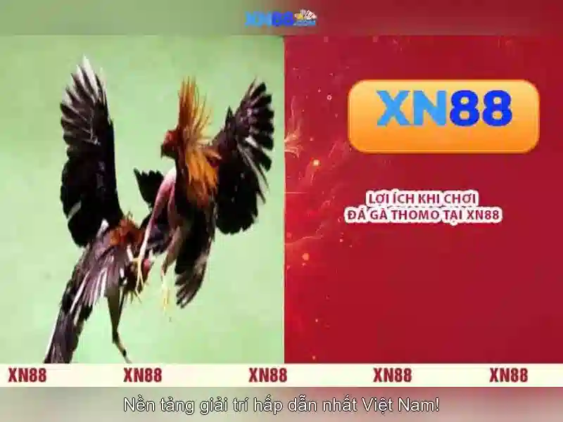 💎cách cài đặt nhà phát triển trên iphone💎