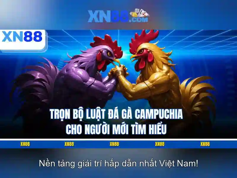 💎kèo nhà cái soi kèo💎