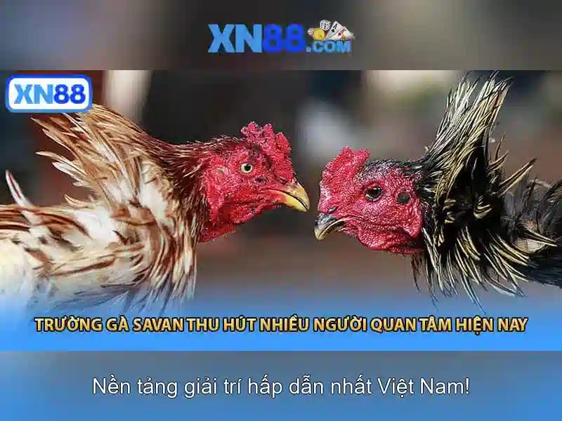 💎truc tiếp bong da kèo nhà cái💎