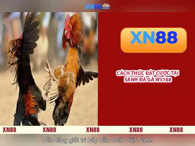 💎nhà cái uy tín 152.42💎