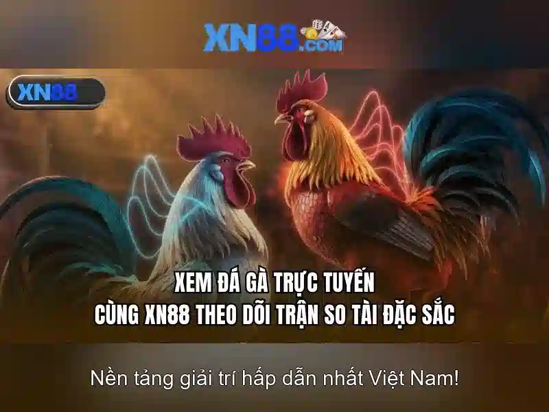 💎ti lệ keo nha cai💎