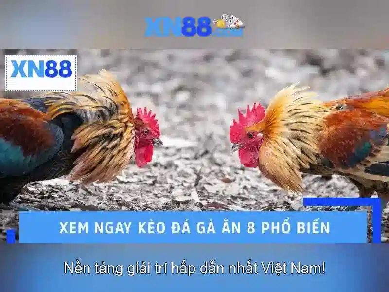 💎truyện cả đời chỉ đánh cược một người💎