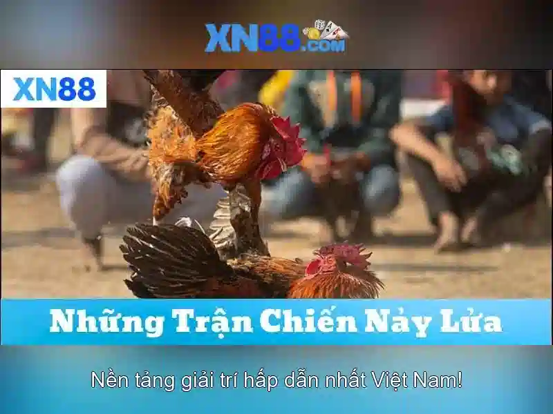 💎nhà xe sao việt thanh hóa lào cai💎