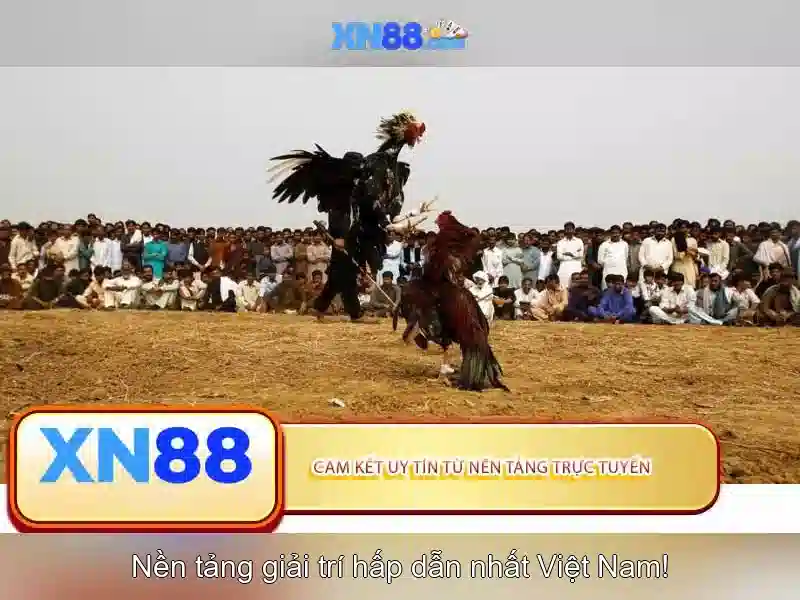 💎re4 wall with four slots💎