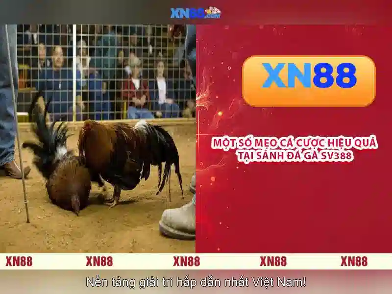 💎surya123 slot💎