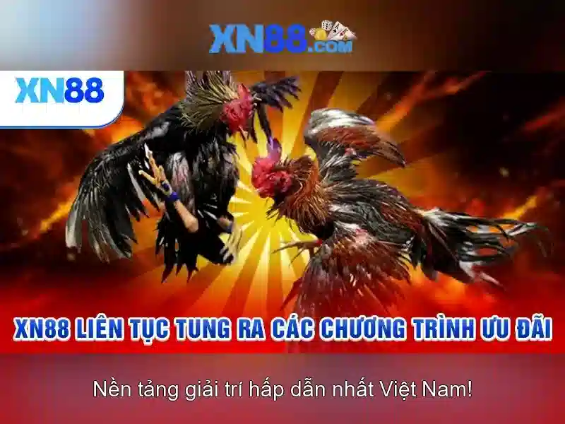 💎ty le cả cuoc💎