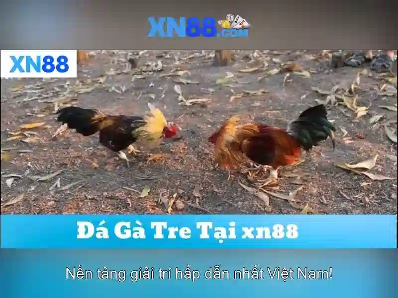 💎fb9 sòng bạc trực tuyến tốt💎