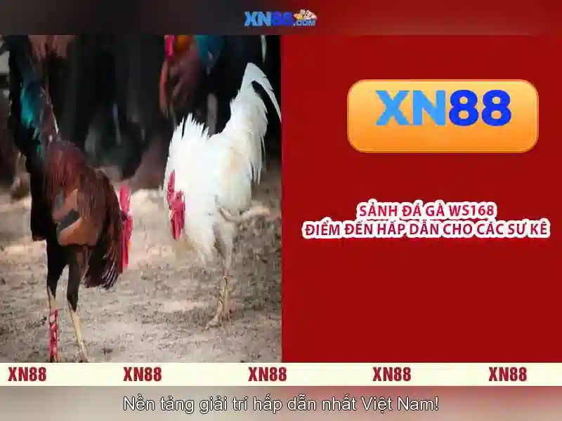 💎xem bóng đá kèo nhà cái tốc độ cao💎