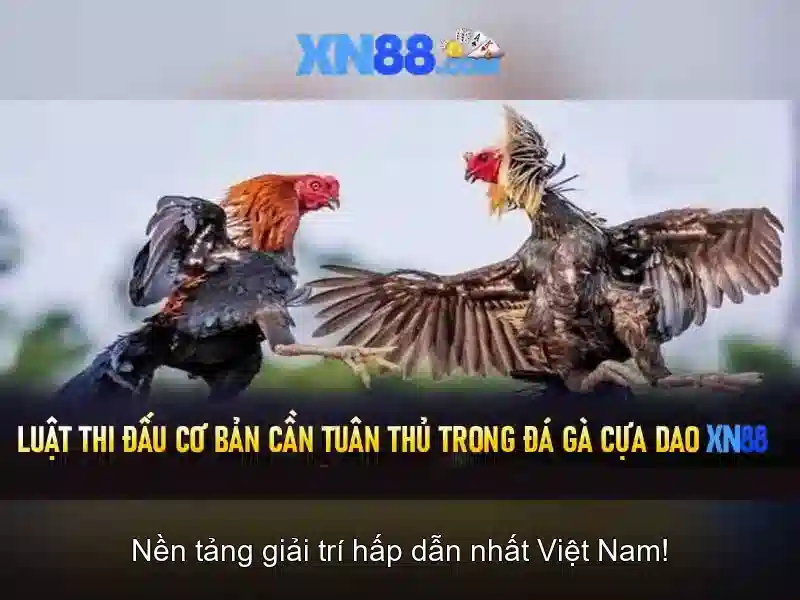 💎tỷ lệ kèo nhà cái châu á hôm nay💎