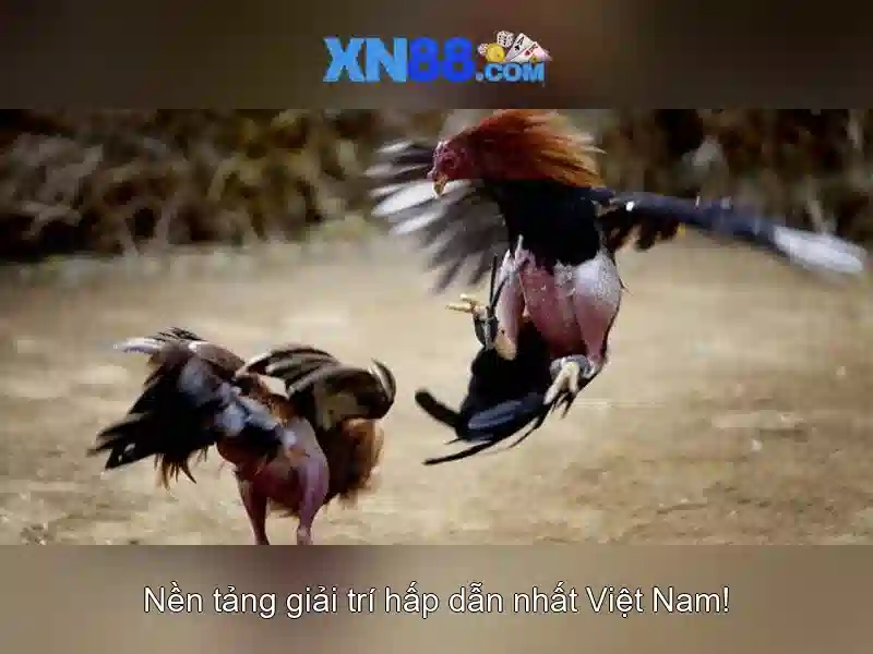 💎danh sách biển số xe đấu giá bắc giang💎