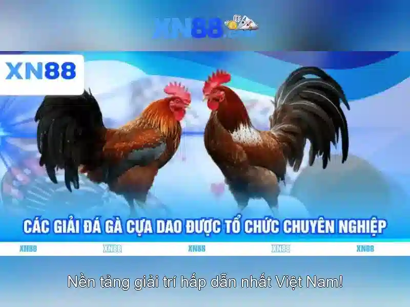 💎xn88 lottery💎